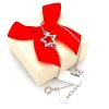 Bratara din argint cristale zirconiu incolore shinning star Reglabil