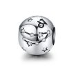Talisman din argint 925 cu cristale zirconiu, zodia capricorn