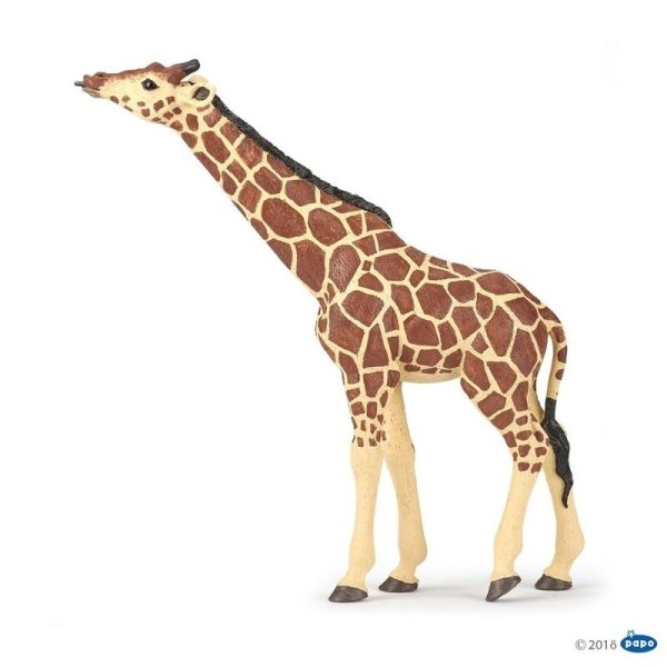 papo-figurina-girafa-cu-cap-ridicat-999076-4.jpeg Figurina Papo-Girafa cu cap ridicat