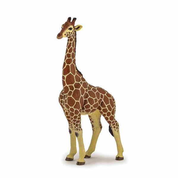 papo-figurina-girafa-mascul-papo50149-1886183-4.jpeg Papo - PAPO FIGURINA GIRAFA MASCUL