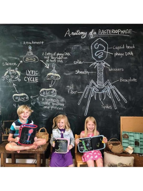 carte-refolosibila-pentru-desen-submarine-doodle-it-go-erasable-book-submarine-jaq-jaq-bird-4.jpg Carte reutilizabila pentru desen Submarine - Doodle It & Go erasable book - Submarine