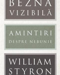 Bezna vizibila - William Styron