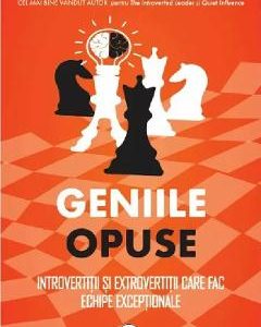 Geniile opuse. Introvertitii si extrovertitii care fac echipe exceptionale - Jennifer B. Kahnweiler