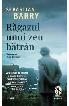 38420130-1-small-1.jpg Ragazul unui zeu batran - Sebastian Barry