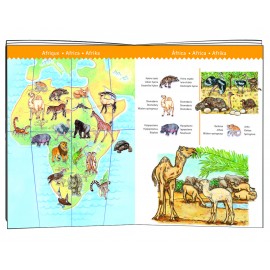 Puzzle observație Djeco Animalele lumii