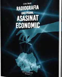 Radiografia unui posibil asasinat economic - Elena Tanase