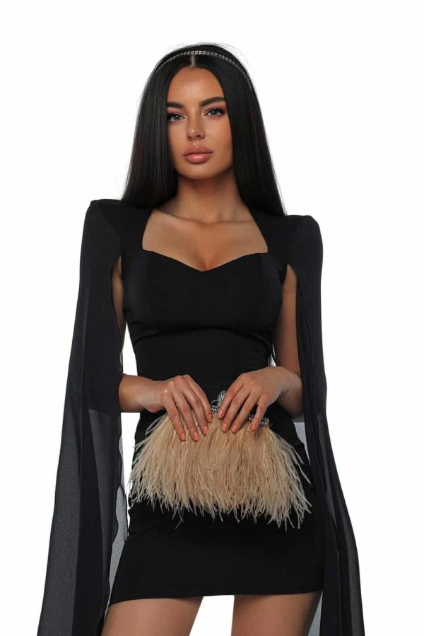 462646729_561742356818750_4431030082171138857_n.jpg Black Swan