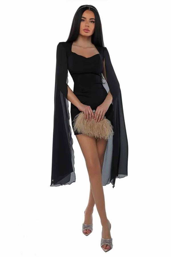 462648324_1267857657793071_8820158150302182967_n.jpg Black Swan
