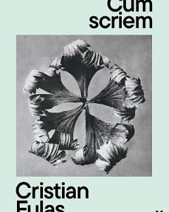 Cum scriem Ed.2 - Cristian Fulas