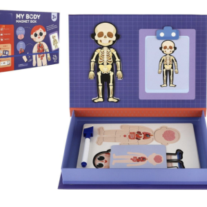 Joc magnetic educativ Corpul Uman tip carte Magnet Box, schelet, organe si carioca lavabila, +3 ani