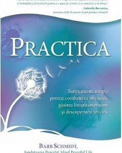 918938-1-small-1.jpg Practica - Barb Schmidt