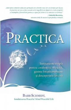 918938-1-small-1.jpg Practica - Barb Schmidt