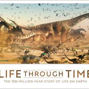Life Through Time