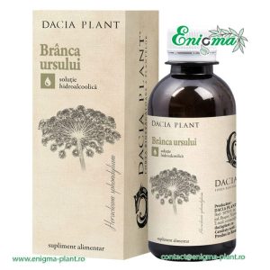 Branca-ursului-EH-200ml-martie-2016-c64.jpg Brânca Ursului tinctură 200ml