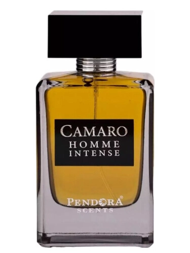 Camaro Homme Intense, EDP, 100 ml