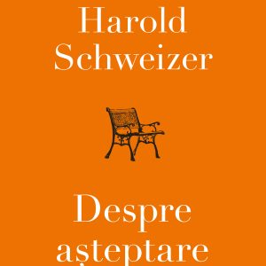 Despre20asteptare_coperta201.jpg Despre așteptare
