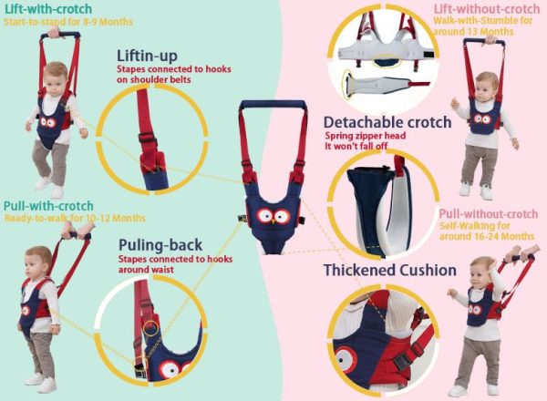 Ham bebe 2in1 pentru asistenta la mers – Bufnita Bleumarin