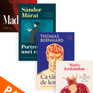 Pachet_25_Marea_literatura_europeana.png Pachet „Marea literatură europeană“