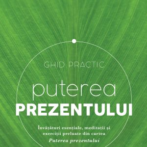 Puterea prezentului. Ghid practic