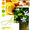 Anteros by Patric, apa de parfum 100 ml, unisex