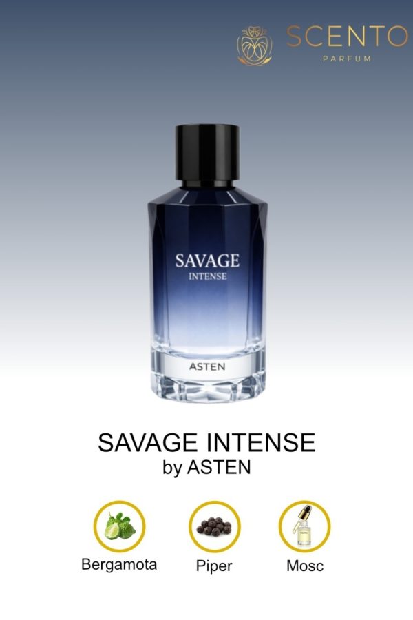 Apă de parfum Asten, Savage Intense, barbati, 100ml - Original Dubai