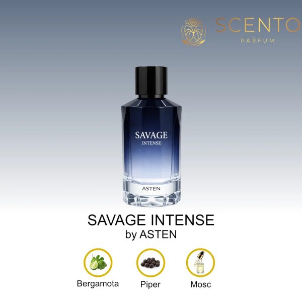 Apă de parfum Asten, Savage Intense, barbati, 100ml - Original Dubai