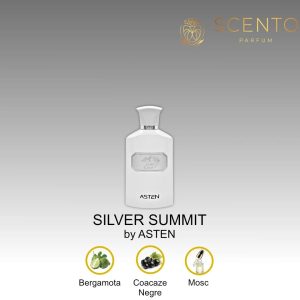 Apă de parfum Asten, Silver Summit, barbati, 100ml - Original Dubai