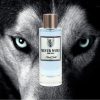 Apa de Parfum, Diane Castel, Silver Wolf 100 ml, barbati - Original Franta
