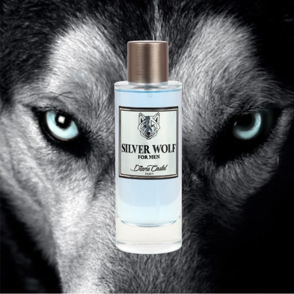 Apa de Parfum, Diane Castel, Silver Wolf 100 ml, barbati - Original Franta