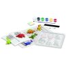 Atelier creativ Modeleaza si picteaza - Dinozaur care straluceste in intuneric