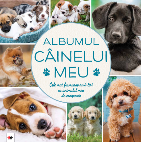 atldiv40.png Albumul câinelui meu. Cele mai frumoase amintiri cu animalul meu de companie