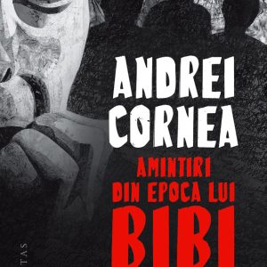Amintiri din epoca lui Bibi