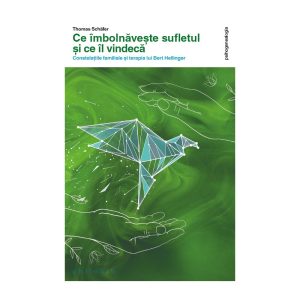 Ce imbolnaveste sufletul si ce il vindeca