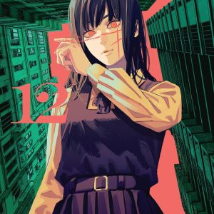 Chainsaw Man Vol. 12