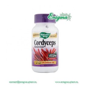 cordyceps-vitalitate-pret-7b9.jpg Cordyceps - capsule