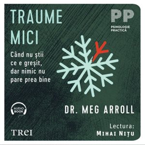 Traume mici. Când nu știi ce e greșit, dar nimic nu pare prea bine - Audiobook - Dr. Meg Arroll