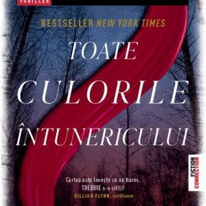 Toate culorile întunericului - Chris Whitaker
