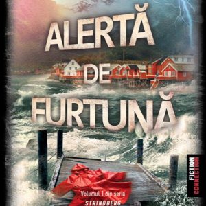 Alertă de furtună (Seria Srindberg, vol.1) - Kristina Ohlsson