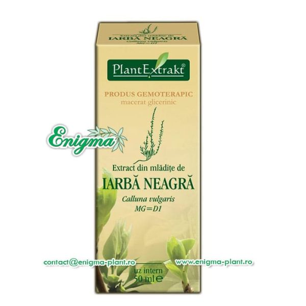 extract-din-mladite-de-iarba-mare-e80.jpg Extract din mladite de iarba neagra - 50ml