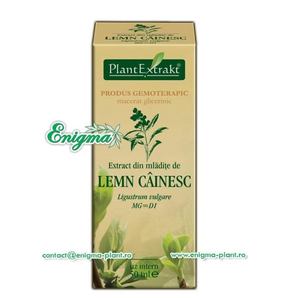 extract-mladite-lemn-cainesc-1d7.jpg Extract din mladite de lemn cainesc – 50ml