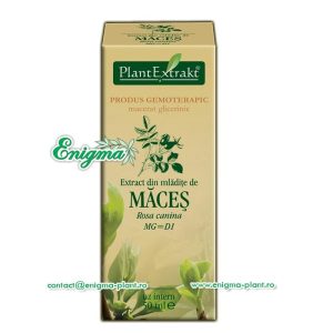 Extract din mladite de maces – 50ml