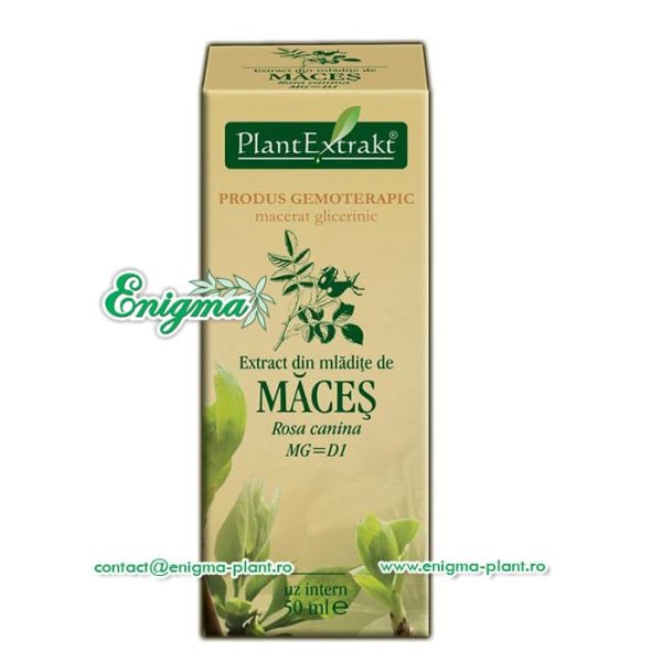 extract-mladite-maces-385.jpg Extract din mladite de maces – 50ml