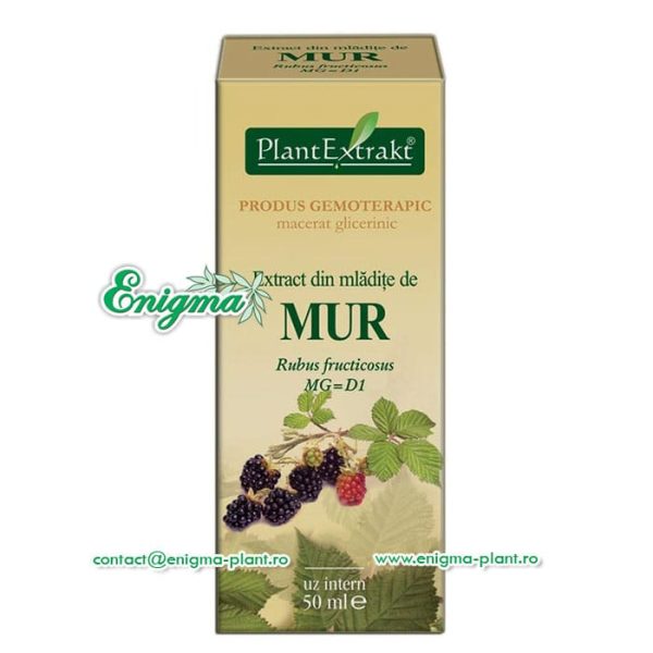 extract-mladite-mur-11e.jpg Extract din mladite de mur – 50ml