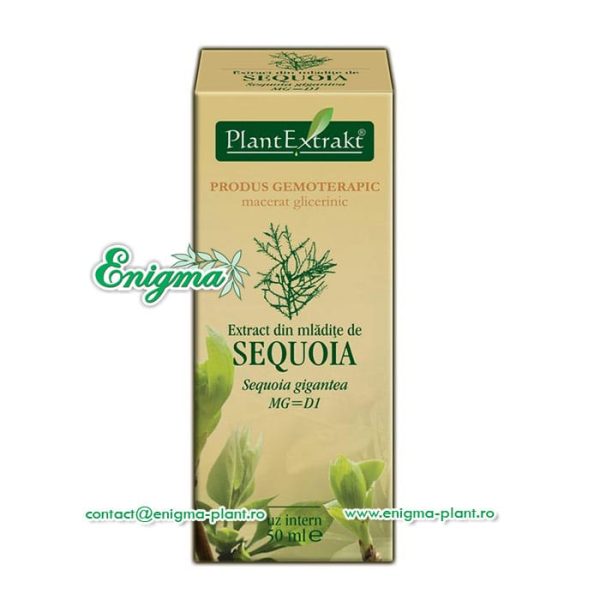 extract-mladite-sequoia-a5e.jpg Extract din mladite de sequoia – 50ml