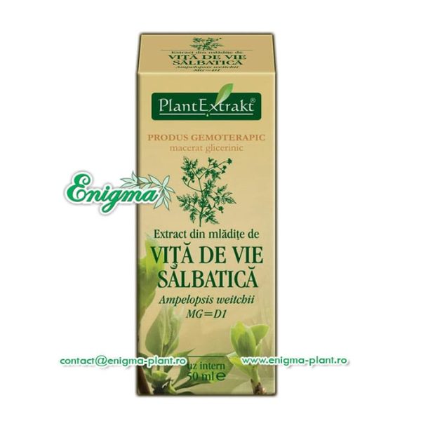 extract-mladite-vita-de-vie-salbatica-29f.jpg Extract din mladite de vita de vie salbatica – 50ml