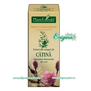 Extract din muguri de catina - 50ml
