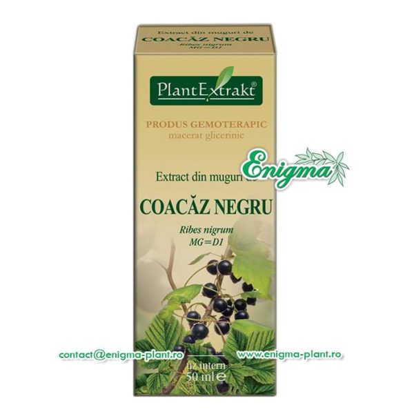 extract-muguri-coacaz-negru-9b3.jpg Extract din muguri de coacaz negru - 50ml