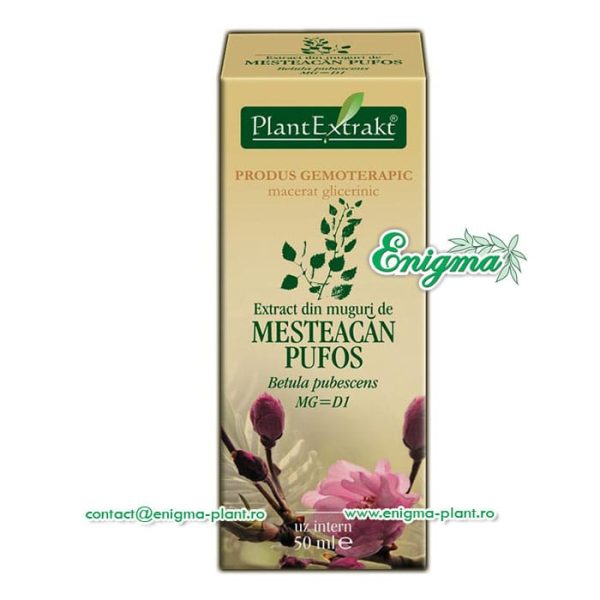 extract-muguri-mesteacan-pufos-a56.jpg Extract din muguri de mesteacan pufos - 50ml