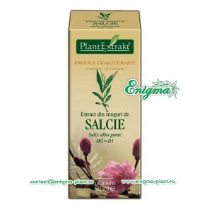 Extract din muguri de salcie – 50ml