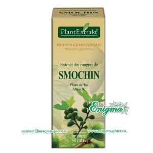 Extract din muguri de smochin – 50ml